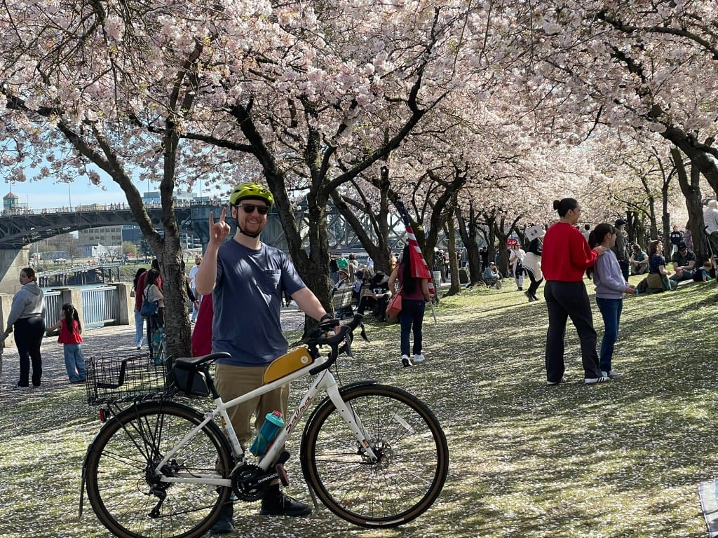 Cherry Blossoms downtown PDX